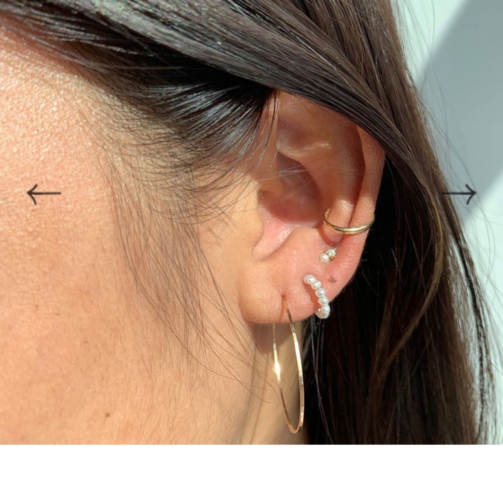Catbird 14k hoop earrings